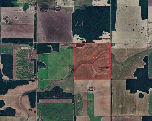 Campo Agricola en Venta - 100has Colonia J.marmol