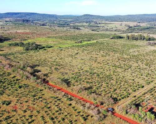Se Vende Chacra de 48 Ha en Apostoles Misiones. 28 Ha con YE