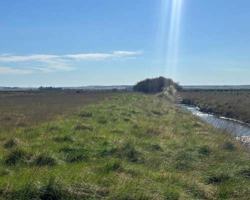 302 Has. Bahia Blanca con Arroyo