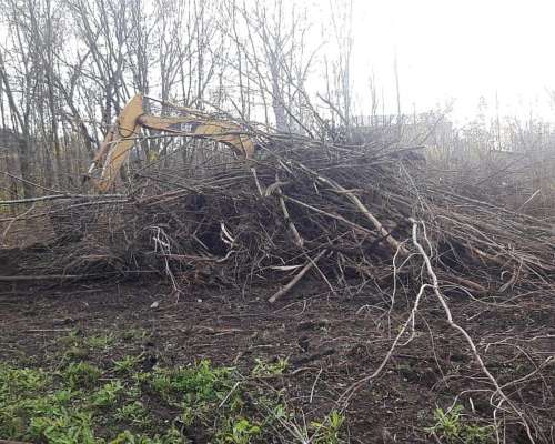 Desmonte y Limpieza en Campos