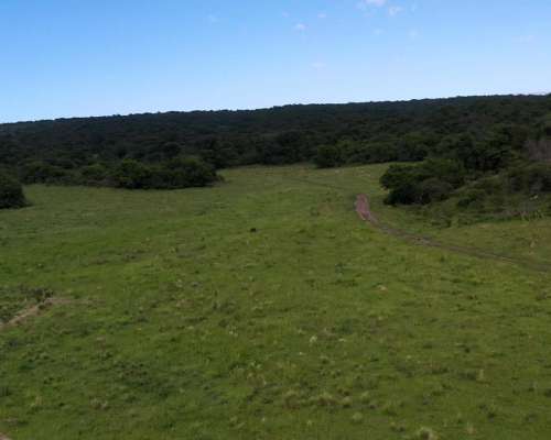 Córdoba Valle de Calamuchita San Ignacio 500 Has Ganaderas