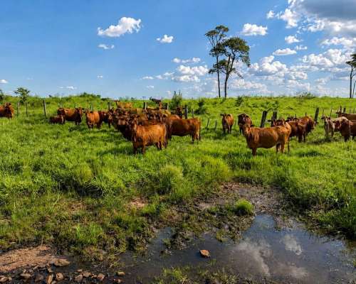 512 Ha Preciosa Estancia en Misiones