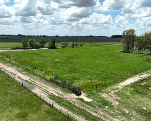 1380 Has. Campo Mixto S/ Ruta 7 en San Andres de Giles