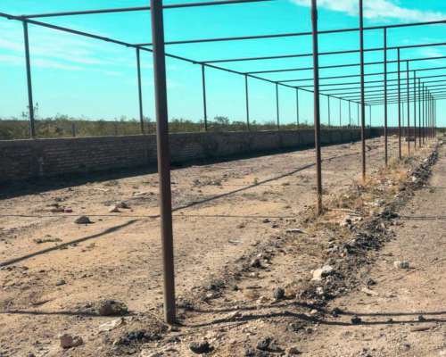 9.400 Ha Zona Vaca Muerta, la Pampa, con Regalias