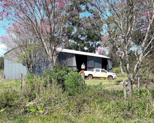 Loreto, San Miguel, Corrientes - 1.072 Ha