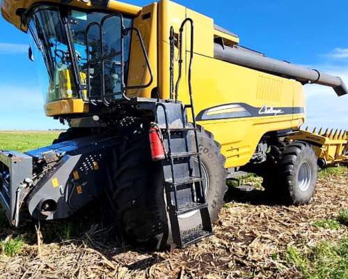 Cosechadora Challenger 540 C - Draper de 40 Pies.