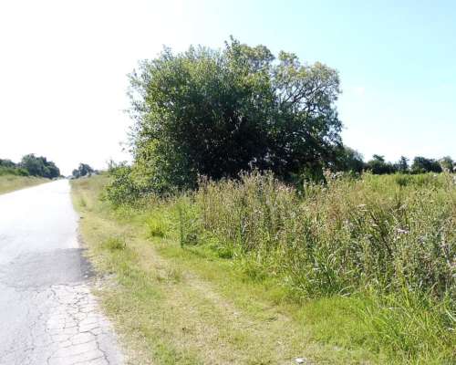 Baradero, Buenos Aires - 15 Ha