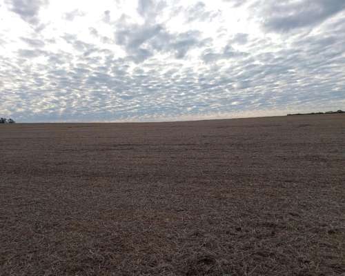 165 Ha Guardamontes. Buen Acceso. Campo Mixto