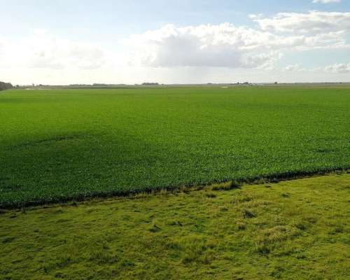 Vendo 900 Has Agricolas