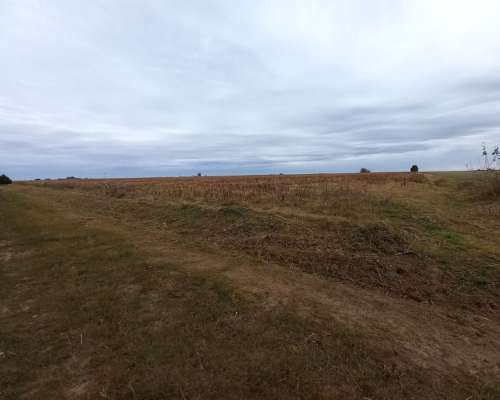 Campo Agrícola de 18 Hectáreas en Pavón (santa FE)