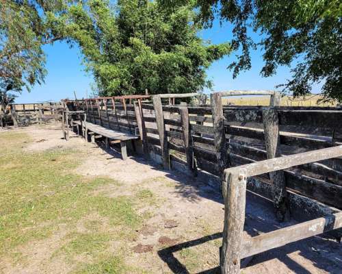 2.228 Has Arrendamiento Ganadero en Pje. San Salvador Corrie