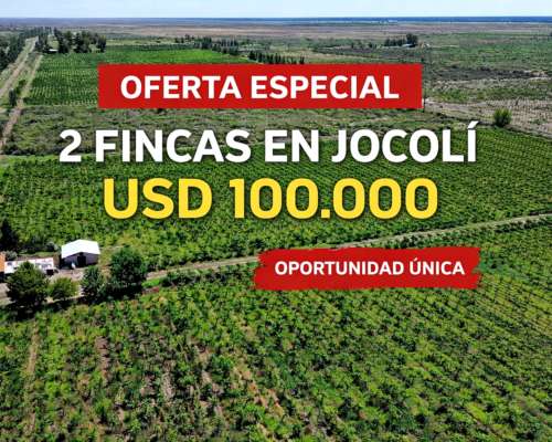 Oportunidad Única Fincas en Jocolí, Mendoza