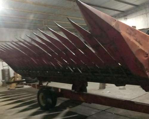 Girasolero Mainero de 13 a 52.5