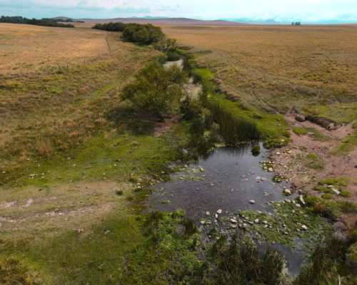 350 Ha Costa de Arroyo Sierra de la Ventana