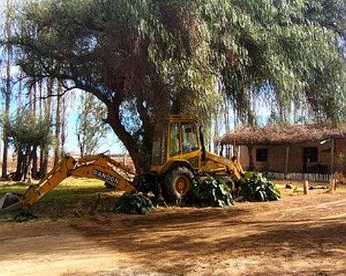 42 Ha Excepcional Finca Vitivinicola, Lavalle, Mendoza