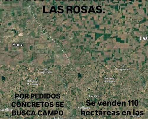 Se Buscan Campo Agrícolas en Venta o Alquiler