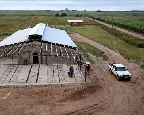 Tinglado e Instalaciones para Cerdos