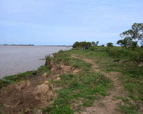 Islas de Ibicuy, Entre Rios - 450 Ha