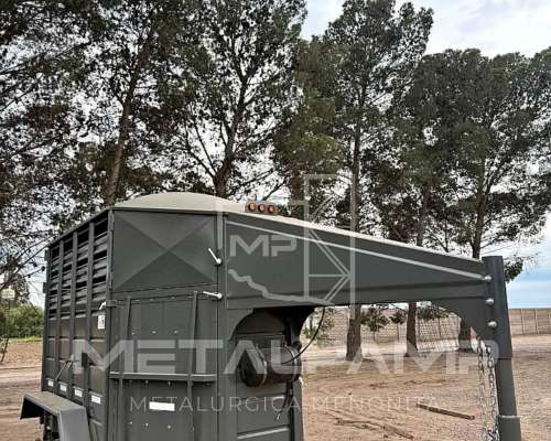 Carro para Dos Caballos