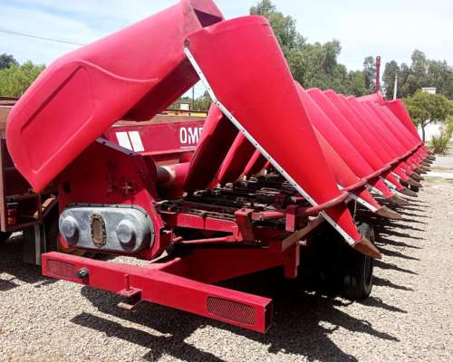 Maicero Ombu 13 a 52 año 2018