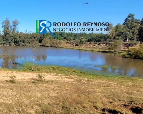 Campo 92 HA. en Concordia (entre Ríos)