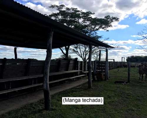 Campo 4168ha Mixto - San Luis del Palmar Corrientes