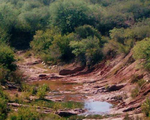 Vendo 20.000 Ha en la Rioja Desarrollo Agricola Ganadero
