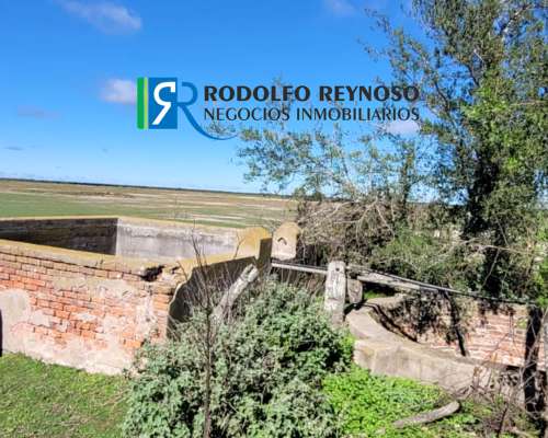 700 HA. en Gualeguaychú, Entre Ríos