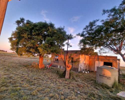 19ha con Almendros,casa, Riego por Goteo.medanos- Villarino