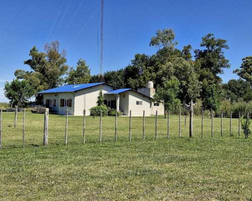 Rauch, Buenos Aires - 60 Ha