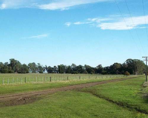 General Pueyrredón, Buenos Aires - 575 Ha