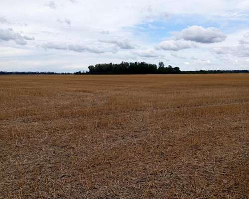 1.000 Hectáreas Agricolas. Suelo 1. Saltó.