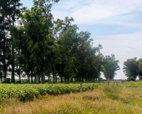 Campo 532 Ha en Santa FE. Agrícola