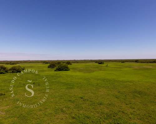 Campo Ganadero. 2.750 HA. Ambrosetti, Santa FE.