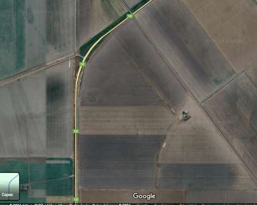 Oliva, Venta Campo +