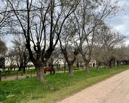 Chacra de 2 Has Sobre Ruta Asfaltada en San Pedro