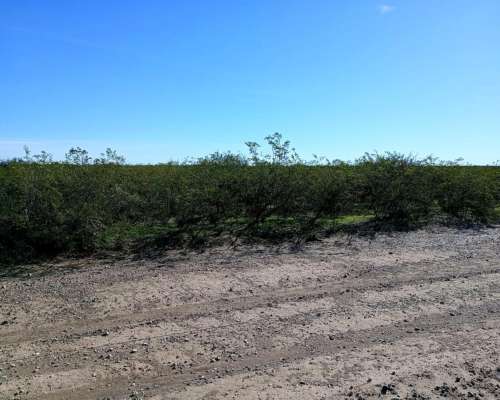 En Venta 32.500 HA. Casa de Piedra, la Pampa