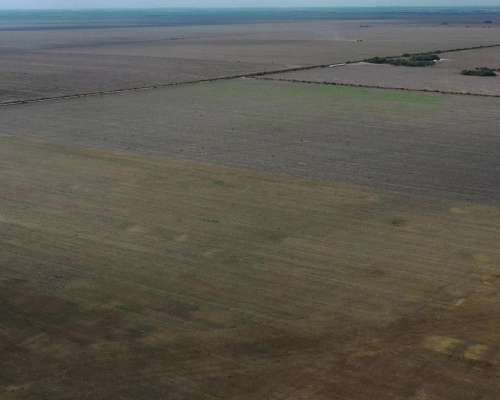 Vendo Campo en Cordoba Maquinista Gallini 160 Has Agricolas