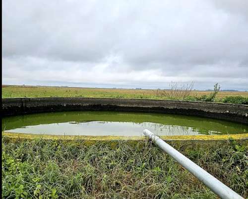 Venta Campo Ganadero 1400 Ha Pila BS AS