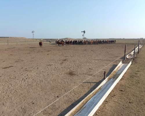 Venta Campo Agricola a Tranquera Cerrada (hacienda Bradford)