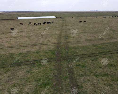 Campo en Venta de 210 Has en Dolores