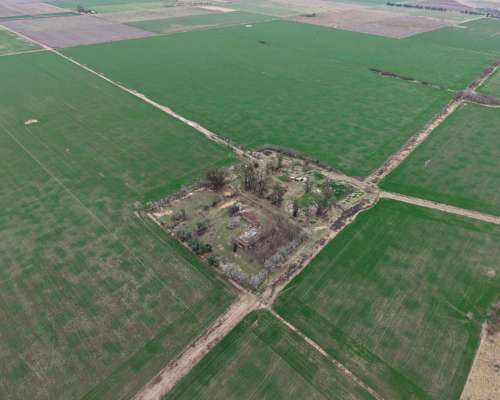 596 Has - Galvez (santa FE) - Agricola/ganadero