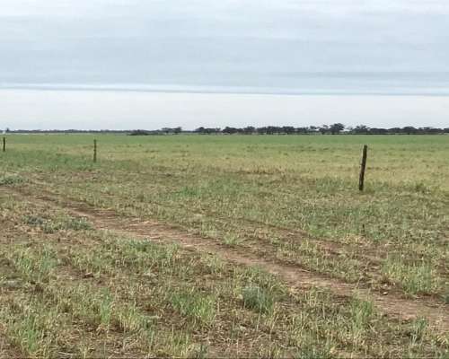 1930 Ha Agricolas en Casares con Ingreso por RN34 y RP13