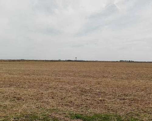 185 Has Agricolas Gral Pinto