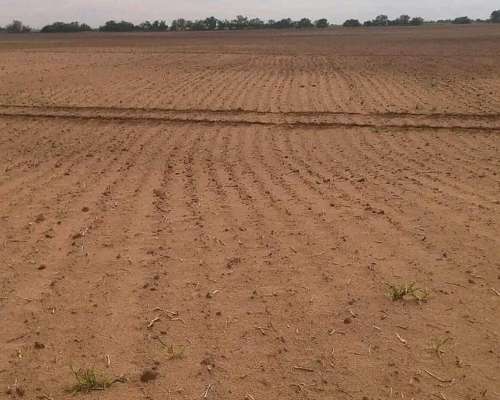 111 Hectáreas, Agricolas, los Zorros