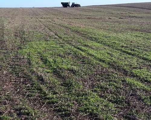 Tres Bocas Gualeguay Compro Campo Agricola o Mixto