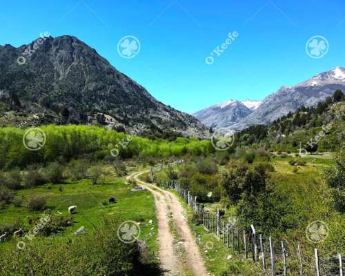 Campo en Venta 300 Has Cuesta del Ternero, Rio Negro.