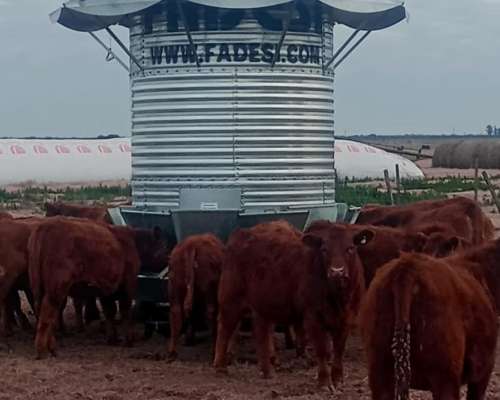 Comedero Autoconsumo para Animales