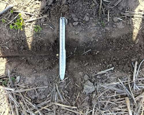 Sembradora Super Walter W650 de 24 a 35 cm Neumatica