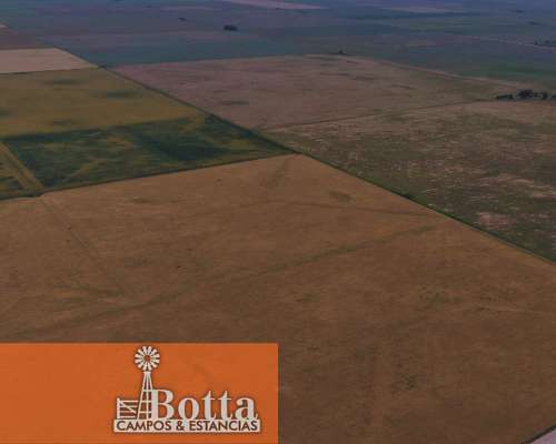 627has en Venta en Alpachiri, la Pampa. Campo Agricola